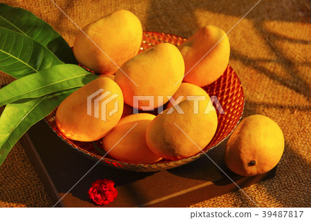 Decorative bowl full with fresh Alphonso mangoes 39487817