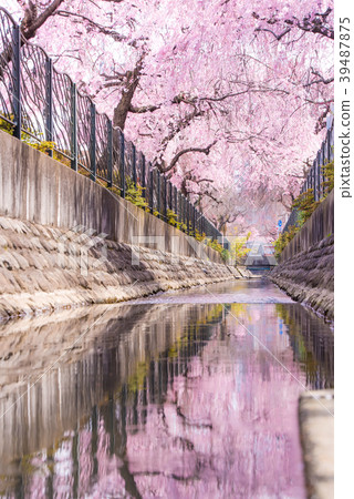 The water side of the dual-purpose water (Kawasakihori) groove side 39487875