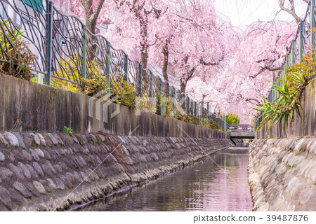 The water side of the dual-purpose water (Kawasakihori) groove side 39487876
