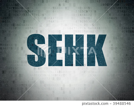 Stock market indexes concept: SEHK on Digital Data 39488546