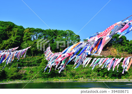 A streamer swimming in the blue sky of Sagami River 39488671