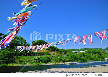 A streamer swimming in the blue sky of Sagami River A streamer swimming in the blue sky of Sagami River 39488838