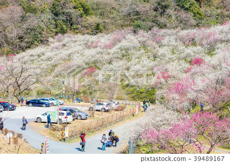 東京Takao Umego（木下Umebayashi）的景觀 39489167