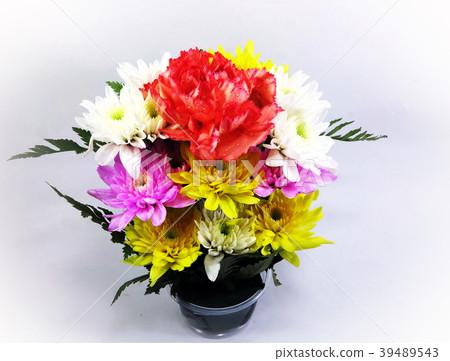 Beautiful flowerpot is isolated on white paper Beautiful flowerpot is isolated on white paper 39489543