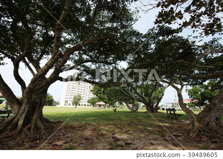 Scenery of Musashi Park on Ishigaki Island 39489605