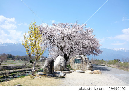 安曇野:早春加法器紀念碑安曇野市 安曇野:早春加法器紀念碑安曇野市 39490492