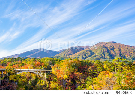 [Miyagi Prefecture] Autumn leaves of Naruko Gorge 39490668