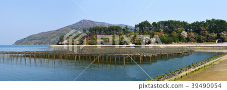 Oyster aquaculture scenery Oyster aquaculture scenery 39490954