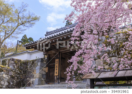 Ohara Sanzenin 39491961