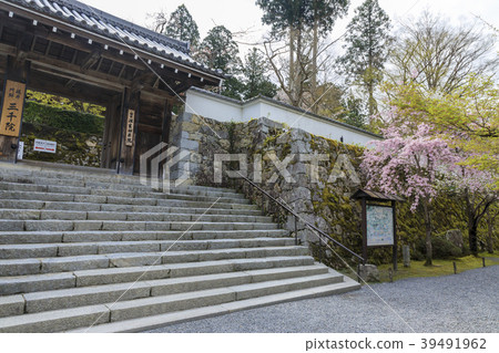 Ohara Sanzenin 39491962