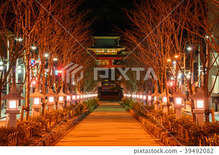 鶴岡八幡宮的夜景和鎌倉的梯田 鶴岡八幡宮的夜景和鎌倉的梯田 39492082