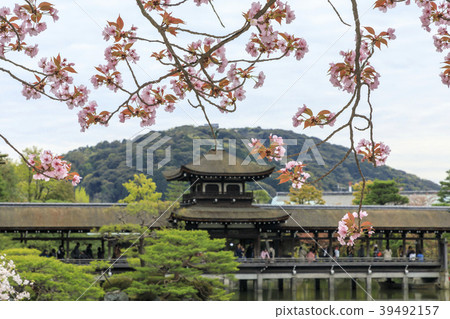 平安神宮 照片素材 圖片 圖庫