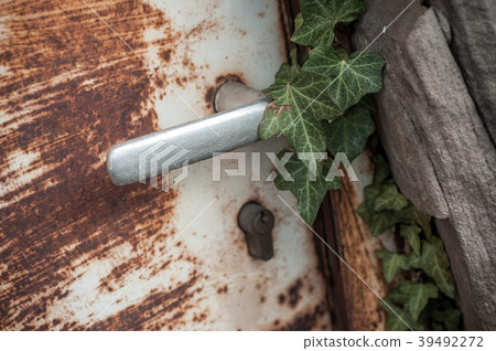 closeup of ivy leaves on rusty metallic door 39492272