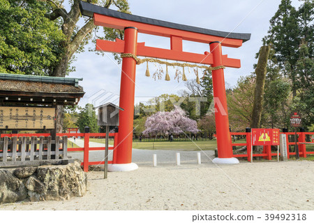 Kamigamo Shrine 39492318