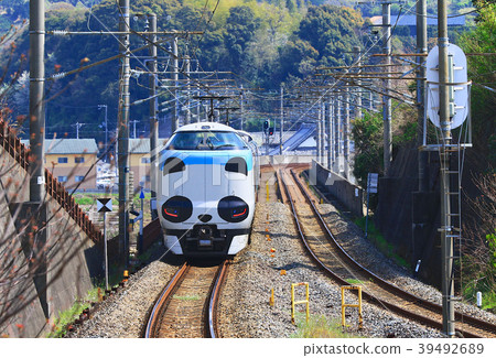 Panda Kuroshio No. JR 287 Panda face Express Train Kuroshio 50 Panda Kuroshio No. JR 287 Panda face Express Train Kuroshio 50 39492689