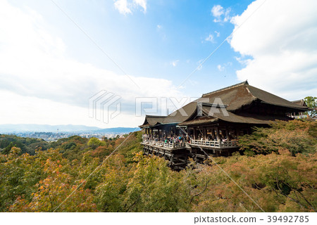 清水寺 安來清水寺 翠綠,Zuikoyama Kiyomizu Temple 39492785