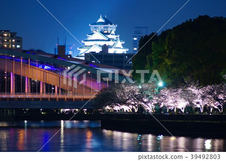 Night view of cherry blossoms in Osaka Castle and Okawa, Osaka City, Osaka Prefecture 39492803