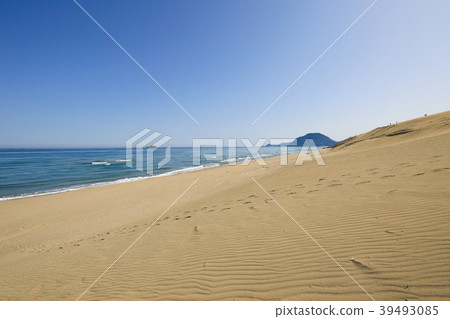 Tottori Sand Dunes (Tottori City, Tottori Prefecture) 39493085