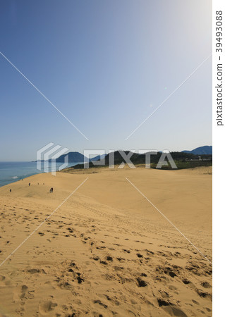 鳥取沙丘（鳥取縣鳥取市） 39493088