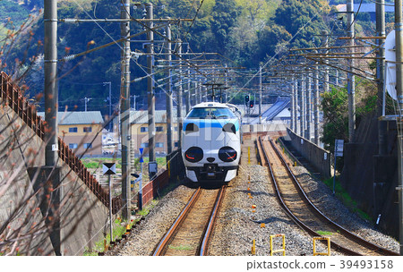 Panda Kuroshio No. JR 287 Panda face Express Train Kuroshio 53 39493158