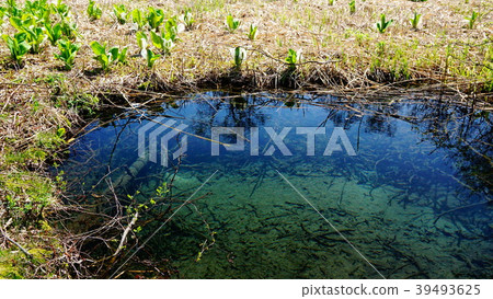 Minamata city ground water tank Minamata city ground water tank 39493625
