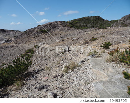 Shikanejima Shikanejima 39493705