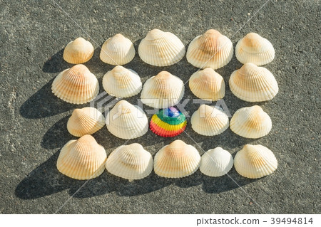 Rainbow shell, on the background of white shells 39494814