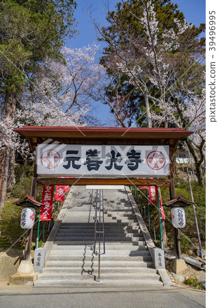 長野縣飯田市春天Zonji寺 長野縣飯田市春天Zonji寺 39496995