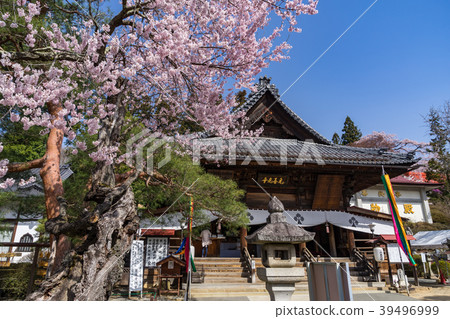 長野縣飯田市春天Zonji寺 39496999