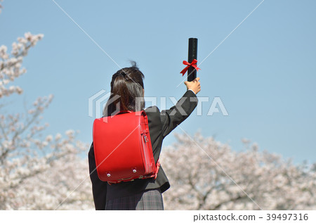 六年級女孩（櫻花，畢業，後視圖） 39497316