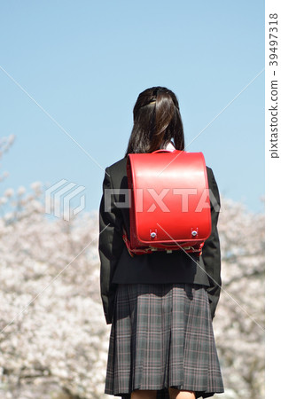 六年級女孩（櫻花，畢業，後視圖） 39497318