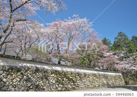 麻 - 寺 麻 - 寺 39498063
