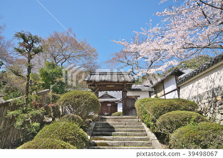 麻 - 寺 39498067
