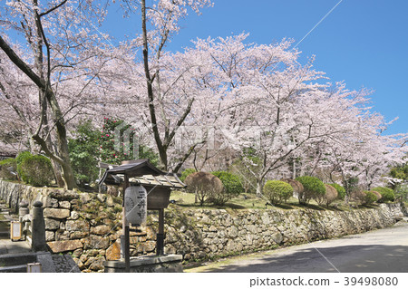 麻 - 寺 麻 - 寺 39498080