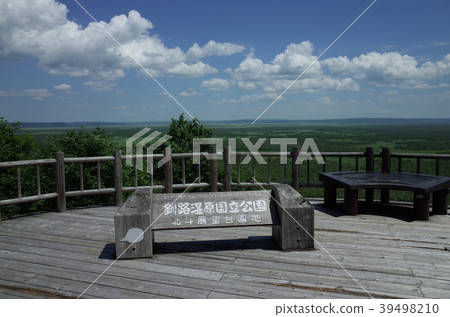 夏天的釧路濕地_北海道 39498210