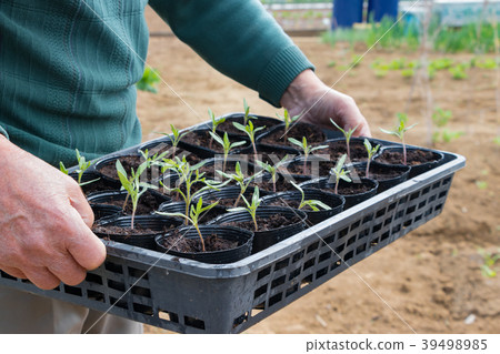 Farm work landscape in spring Farm work landscape in spring 39498985