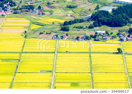 秋季鄉村景觀(九月) 秋季鄉村景觀(九月) 39499017