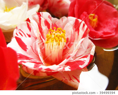 穿孔眉毛 39499394