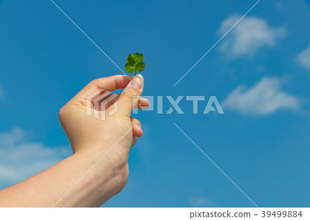 ECO圖像(四葉三葉草) ECO圖像(四葉三葉草) 39499884