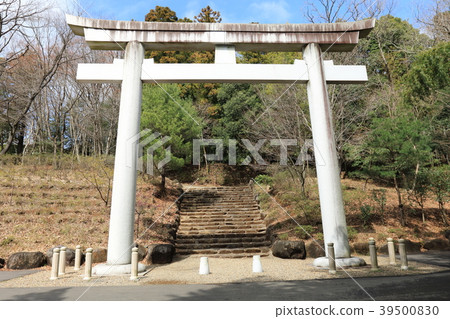 日本的Land Izumo Taisha Kasama 日本的Land Izumo Taisha Kasama 39500830