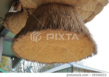 Japan's Land Izumo Taisha Kasama 39500833