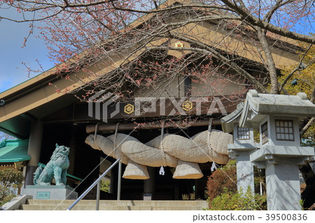 Japan's Land Izumo Taisha Kasama 39500836