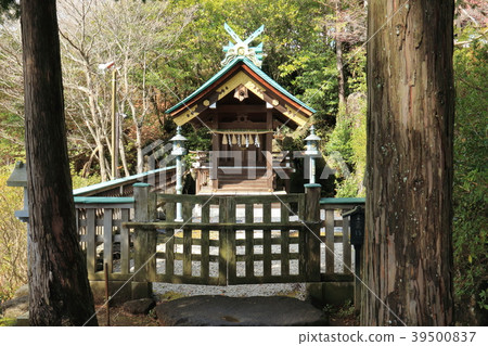 Japan's Land Izumo Taisha Kasama 39500837
