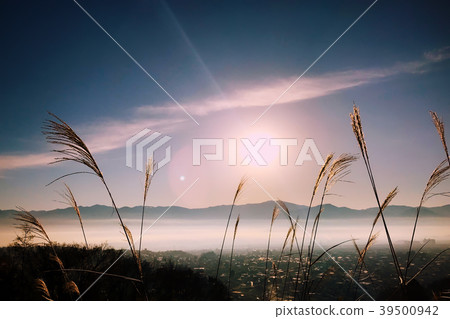 Morning sunburner Morning sunburner 39500942