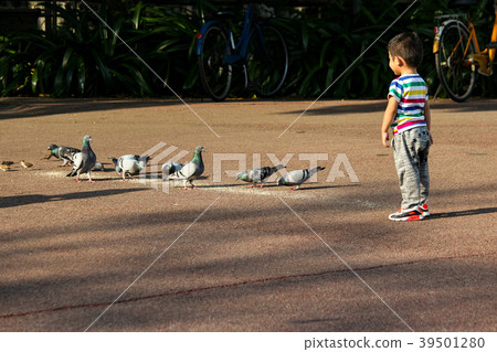 Taiwan, youth park, small boat, dumpling, ecology, beggar 39501280