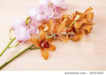 Red-brown and pink dendrobium flowers on wood table 39501880