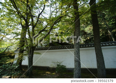 橫濱三溪花園門和白牆 橫濱三溪花園門和白牆 39502379