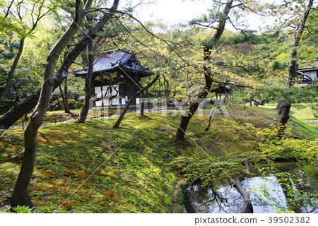 Yokohama Sankeien Garden Former Tennuji Shito-to 39502382