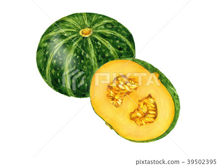 Pumpkin watercolor illustration Pumpkin watercolor illustration 39502395