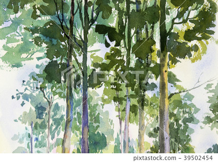 Environmental concept, Tree in forest. 39502454